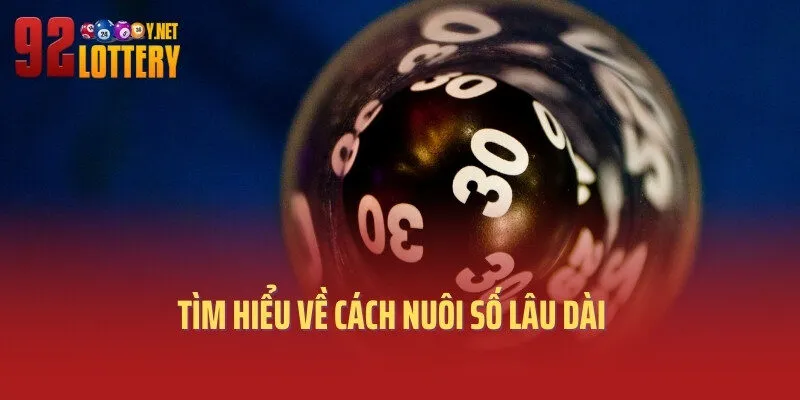 Tìm hiểu về cách nuôi số lâu dài